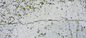 На фото видно, что на поверхности, обработанной гидрофобизатором, отсутствуют следы биозаражения, а на соседнем, необработанном, участке есть следы прорастания мха