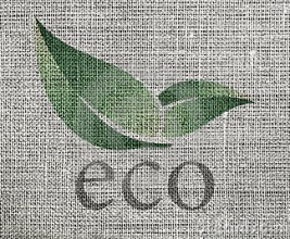 Объявлены компании, прошедшие аудит "EcoVillage" и "EcoMaterial"