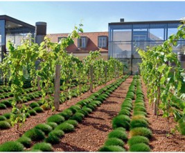 Новый мировой тренд: огород на эксплуатируемой крыше