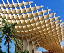 Международная конференция о новых возможностях деревянных конструкций в архитектуре состоится в Санкт-Петербурге