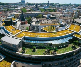 ГК "Олимпстрой" выступила инициатором озеленения сочинских крыш