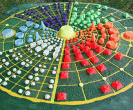 Международная Система Инновационных ЭКО городов «Новый мир» объявляет конкурс!