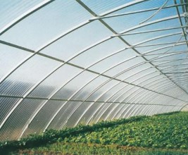 Составлен список самых популярных покрытий для теплиц