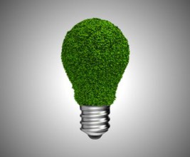 У России должен быть собственный экостандарт