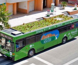 Сад на крыше… автобуса!