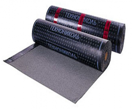 Компания ТехноНИКОЛЬ планирует завоевать китайский рынок