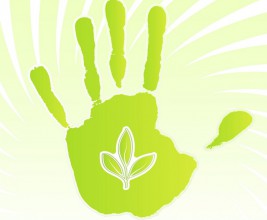 РОСИЗОЛ приглашает на презентацию каталога экологически безопасных материалов GREEN BOOK!