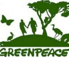 Корпорация «ТЕХНОНИКОЛЬ» поддержала инициативу GreenPeace России по сбору и вторичной переработке полистирольных отходов